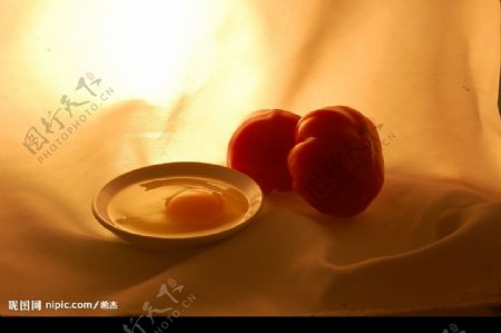鸡蛋西红柿图片