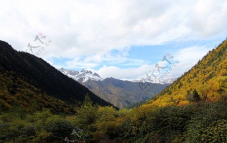 黄龙风景雪山图片