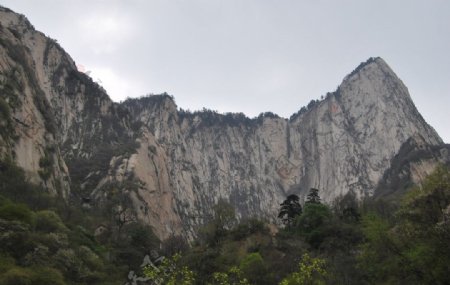 华山金庸树木山水图片