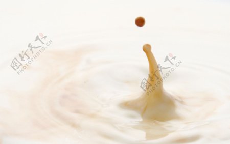 飞溅的奶咖啡图片