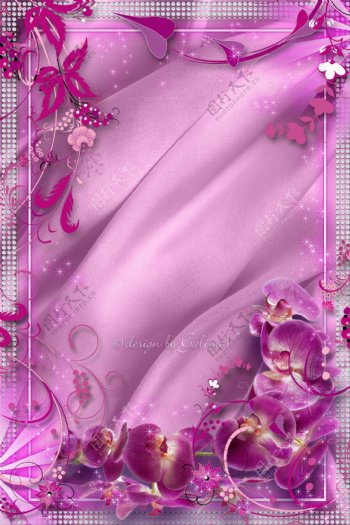 蝴蝶兰花卉边框图片
