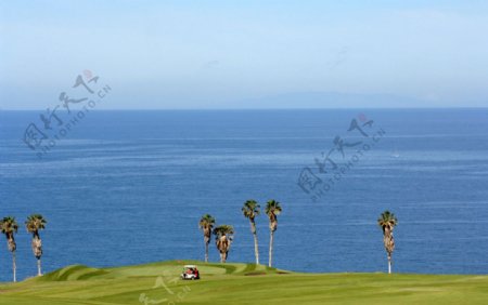 海边高尔夫球场图片