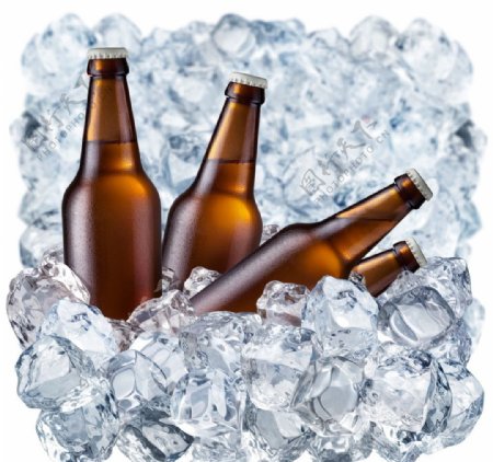 啤酒与冰块图片