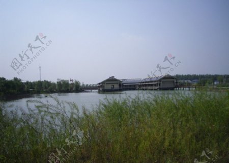 洪泽湖湿地图片