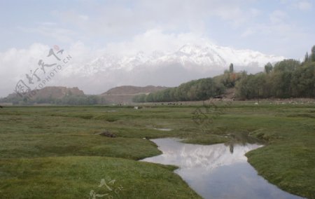 雪山牧场图片