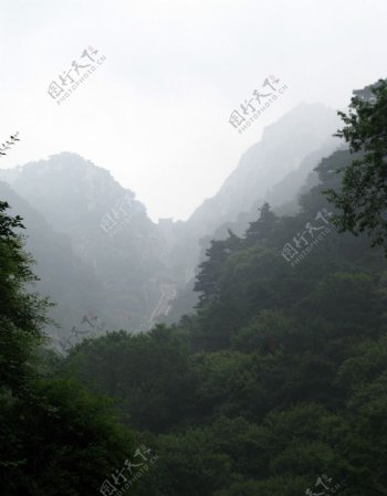 泰山自然风光云雾山林摄影图片