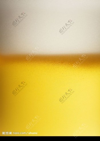 啤酒饮料图片