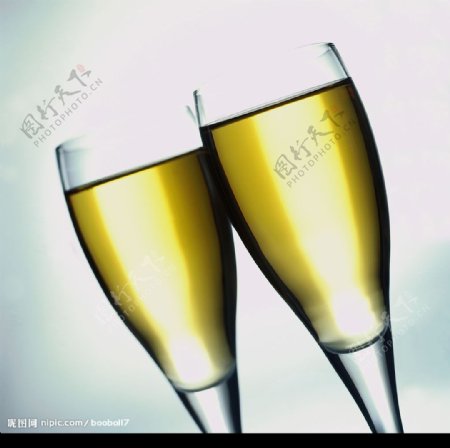 酒杯香槟玻璃杯红酒酒瓶图片