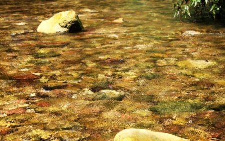 金鞭溪清水图片