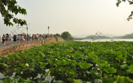 杭州西湖断桥图片