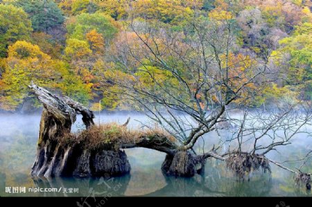 秋水山景图片