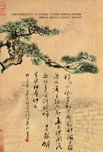 古纹松树图片