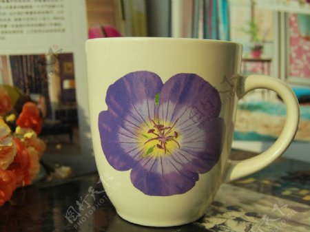 紫花杯子图片
