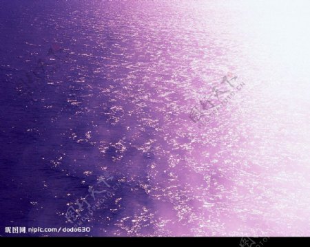 紫色湖面图片