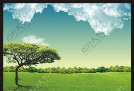 绿色白云大树图片