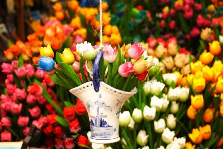 荷兰花卉市场图片