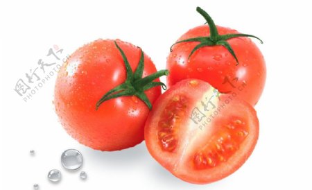 番茄组合西红柿图片