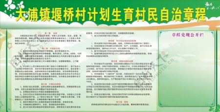 大浦堰桥村计划生育村民自治章程图片