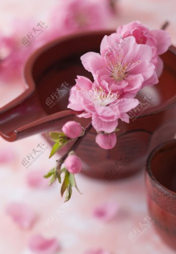 桃花日式图片