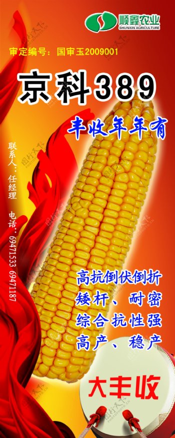 顺鑫农业京科389玉米易拉宝图片