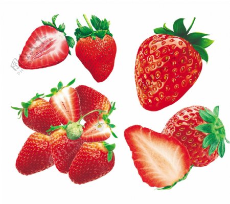 草莓大合集图片