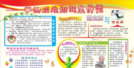 学校卫生知识宣传栏图片