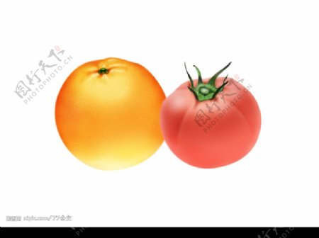 橙子和番茄图片