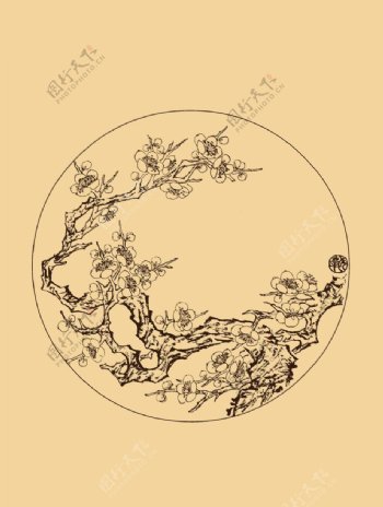 圆形折枝梅花图片