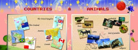 英语展板认识国家和动物图片