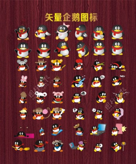 QQ标志腾迅企鹅图片