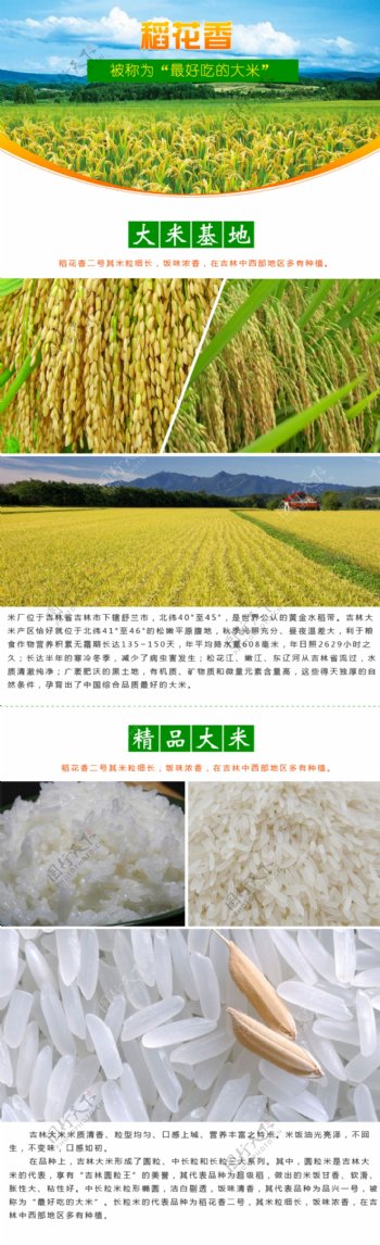 淘宝水稻稻谷详情设计图片