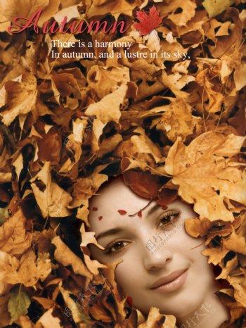 秋季皮肤护理美容广告图片