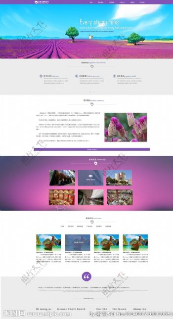 紫色页面图片