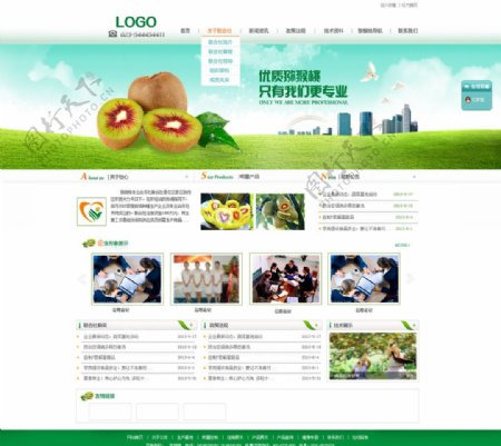 猕猴桃企业网站模板图片