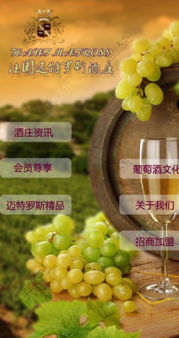微信葡萄酒网站图片