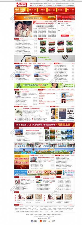 河南咨询网网页模板图片