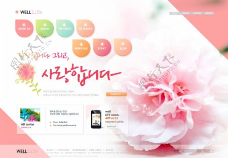 韩式粉嫩女性类网页模板图片