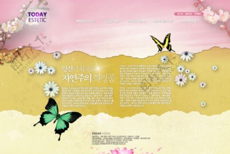 韩国优秀网页模板图片