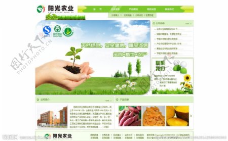 阳光农业网页设计图片