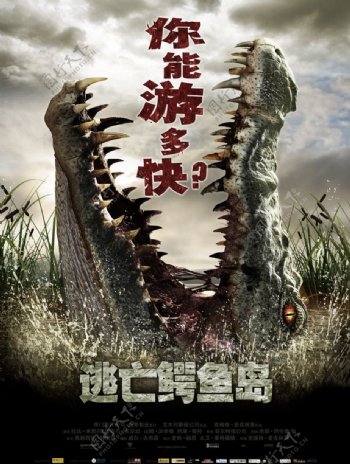 逃亡鳄鱼岛中文海报图片