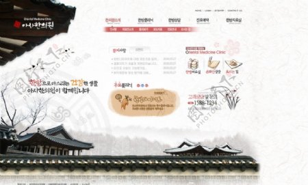 韩国精美网站模版8图片