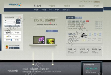 2008韩国商务网页模板系列18图片