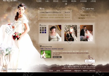 婚纱网站模版图片
