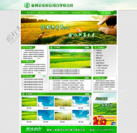农村信用社网站模板图片