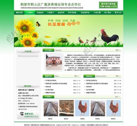 绿色养殖业网站模板图片