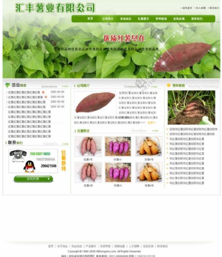 红薯网站模板图片