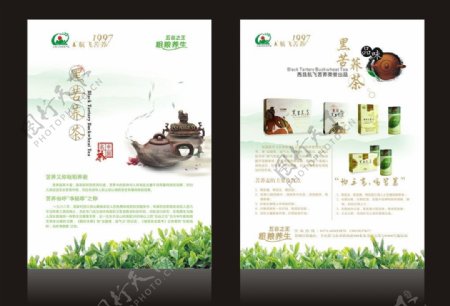 清新茶单页设计图片