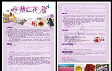 藏红花宣传彩页图片