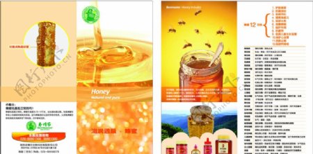 老蜂农蜂蜜产品单页图片