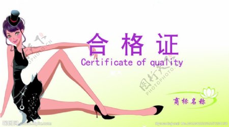 女鞋合格证设计图片